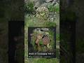 SHIELD OF UNCHANGING WILL V #CrimsonDesert #Shorts