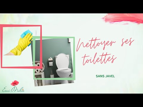 nettoyer-ses-toilettes-🌱