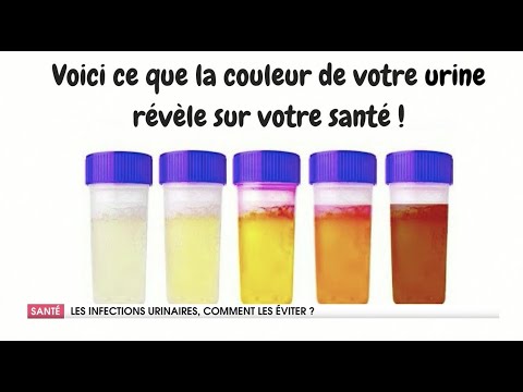 Vidéo: Problèmes Urinaires Félins : Traiter Les Infections Des Voies Urinaires