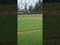 Egrets on the baseball field