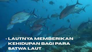 Papua_Negeri_Yang_Ku_Cinta || Editor Willy p || Menggunakan aplikasi Canva || Mohon izin hak cipta 🙏
