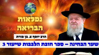 יש בורא לעולם - חובת הלבבות שער הבחינה 3 | הרב יוסף צ. בן פורת