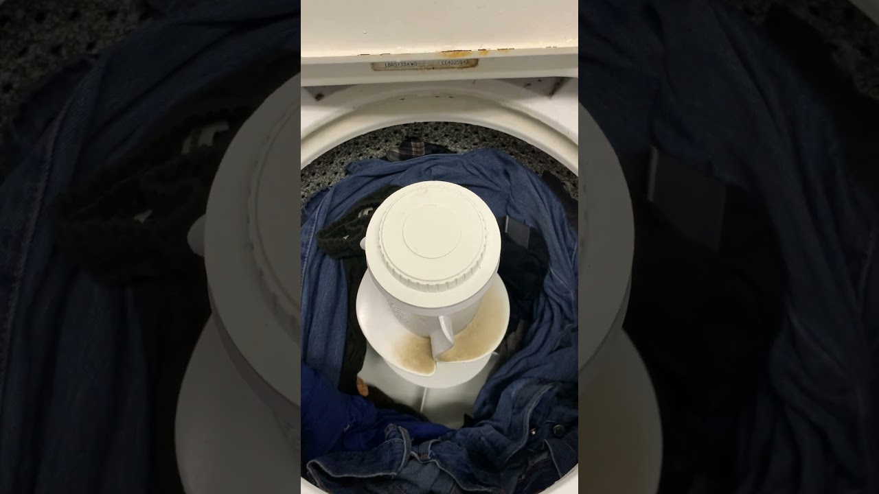 agitator dogs replacement pt 10f 6