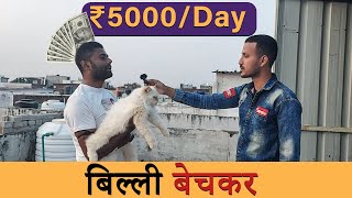 Earn 5000 Rupees Per Day | Cat Business In India | Earn Real Money  | Adam Hunter