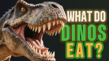 What Did Dinosaurs Eat? | Fun Dino Learning Song for Kids