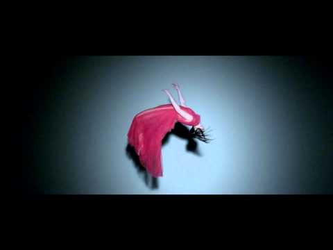 Bel Suono - Te Quiero [Vocal Video Version]