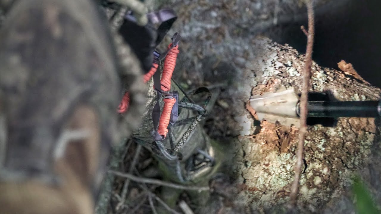 Saddle Hunting Public Land 
