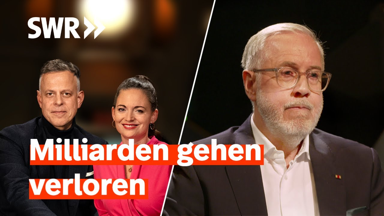 Steuerexperte Eigenthaler: Der Ehrliche ist der Dumme I Zur Sache! intensiv“