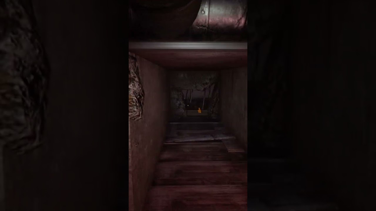 Do Not Look At Her 👀 