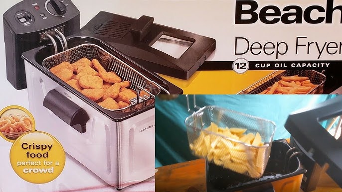 OSTER IMMERSION DEEP FRYER REVIEW 