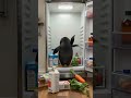 The Penguin’s Fridge Adventure Chaos #ViralShort #FunnyAnimation #PixarStyle #CuteAnimals