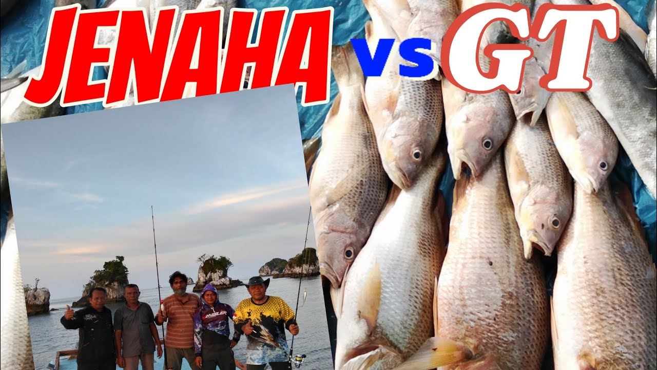 JENAHA TOMPEL PULAU JEMUR #mancinglaut #mancing #pulaujemur