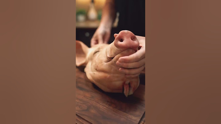 I Cooked A Pig Head For Halloween!