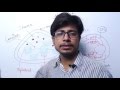 Chloroplasts Unveiled: Structure Function and Photosynthesis Insights