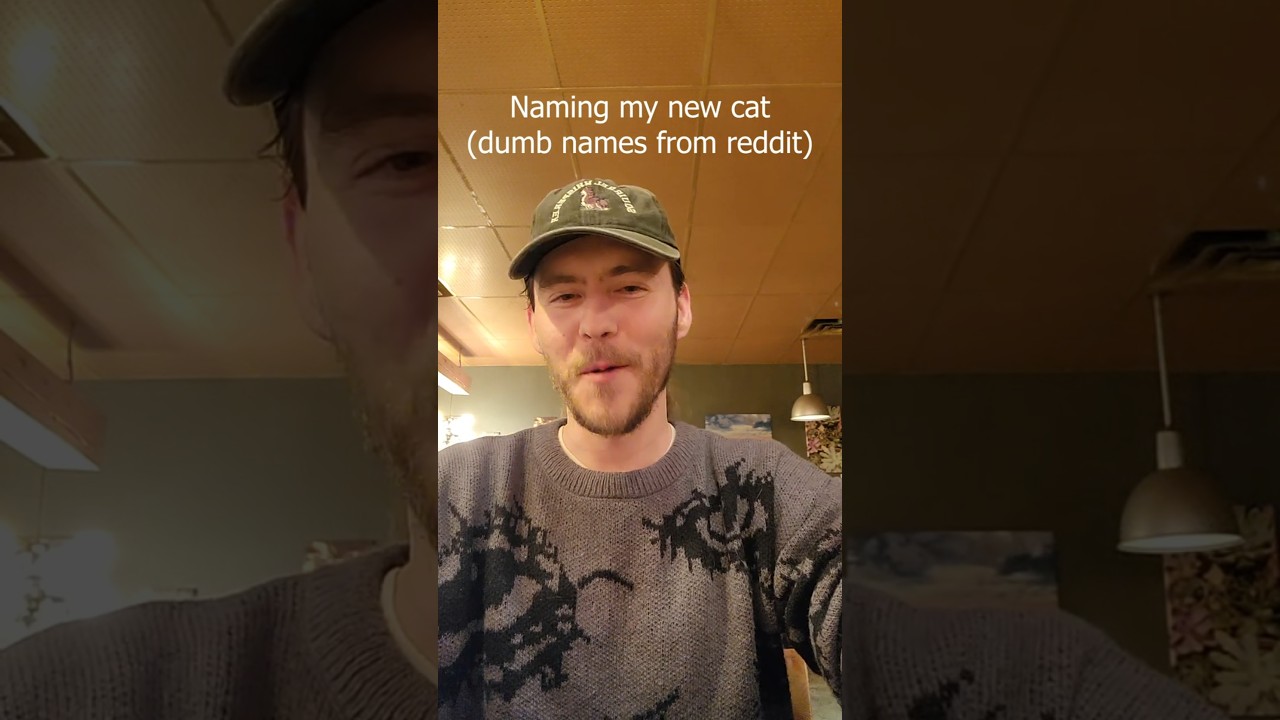 Cat Names from Reddit