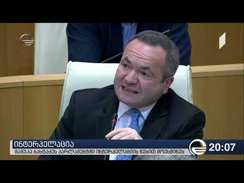 მამუკა ბახტაძეს პარლამენტში ინტერპელაციის წესით მოუსმინეს