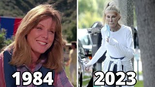 Airwolf 1984 Cast Then And Now 39 Years After