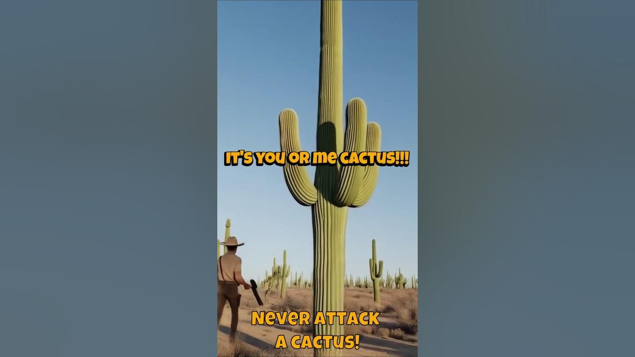 Itβs You or Me, Cactus!! π΅ (This Ends Badly) #desertplants #cactusandsucculents #cactus #desert Itβs You or Me, Cactus!! π΅ (This Ends Badly) #desertplants #cactusandsucculents #cactus #desert