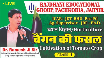 [3] बैंगन की खेती| Cultivation of Brinjal | Eggplant Crop | Vegetable | Horticulture | Ag Supervisor