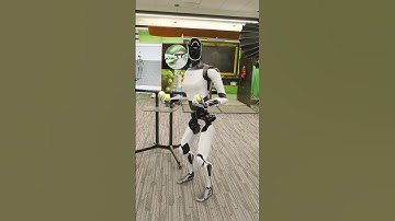 Tesla Robot Breaks a TV