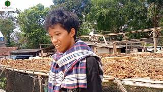 Usaha GAPLEK Saat ini menguntungkan