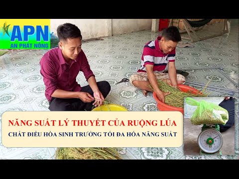 Video: Tin tức dự án CAO 2S42 