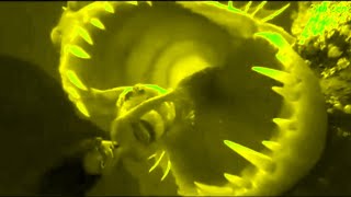 MOANA - EWWW!! EWWW! MOANA TAKEN BY MONSTER | SPONSORED BY KLASKY CSUPO EFFECTS