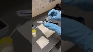 Colostrum Milk Test - BRIX Refractometer