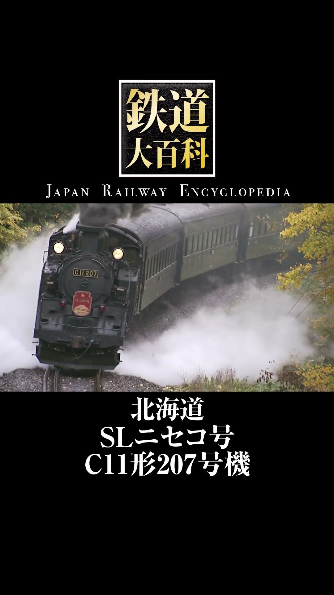 SL Niseko C11 No. 207 #Hokkaido #Railway Encyclopedia #shorts