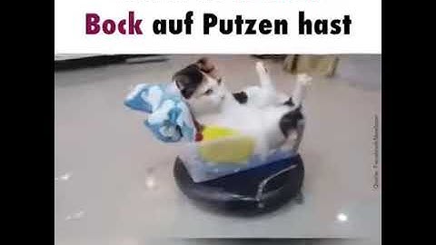 Wenn du keinen Bock auf Putzen hast😂