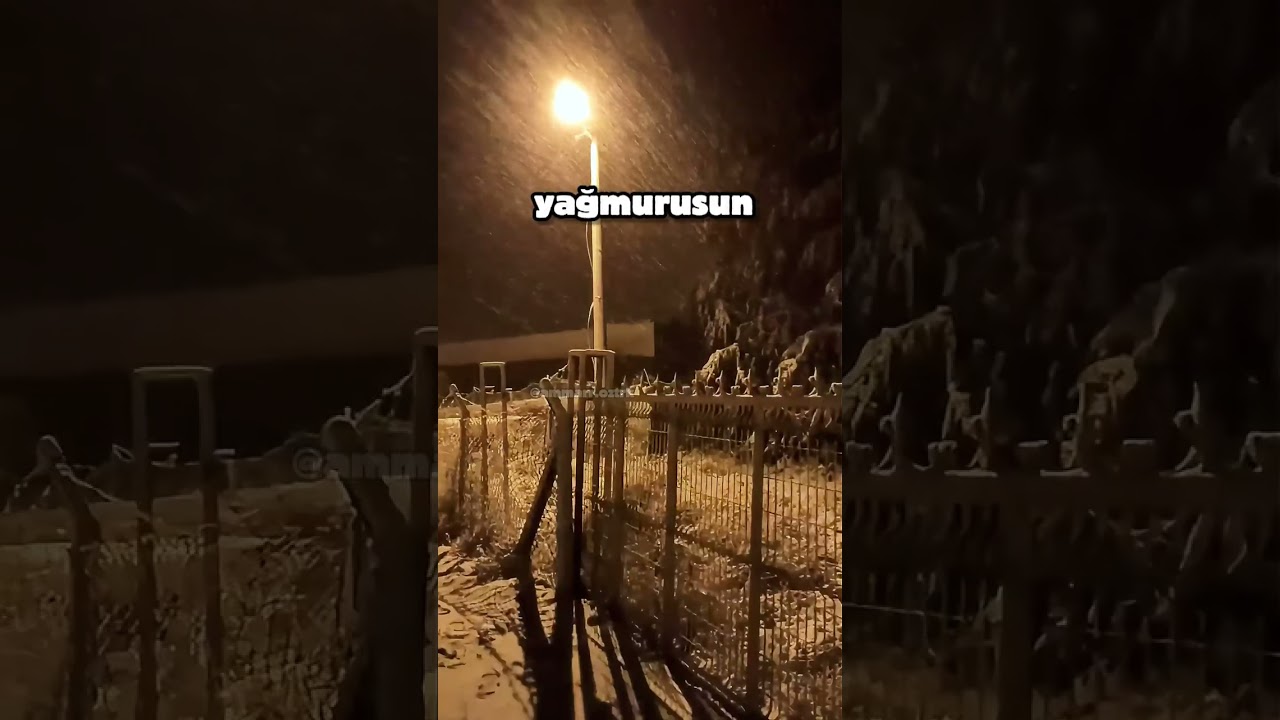 Silence of Snow ❄️ | Music Meets Winter | 