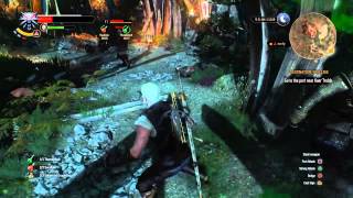 Deflecting Arrows from Behind in The Witcher 3
