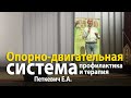 Профилактика и комплексная терапия опорно-двигательной системы - Петкевич Е.А.