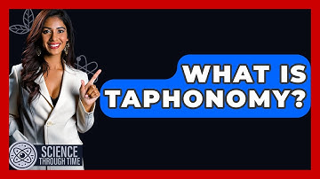 What Is Taphonomy? - Science Through Time