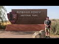 2020 National Park Trip Pt. 2: Zion, Grand Staircase, Monument Valley, Petrified Forest National Pk