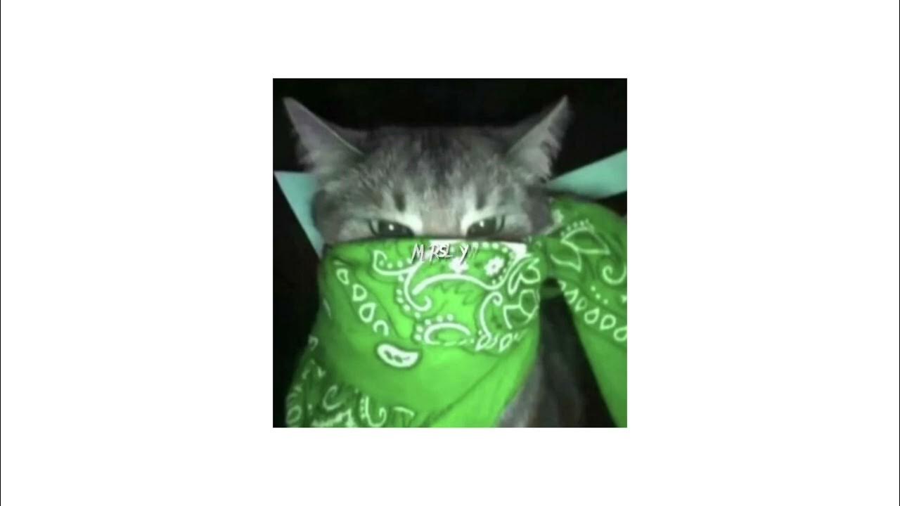 елагина юлия архангельск. холостяк speed up. крид клип холостяк. холостяк speed up. холостяк лсп крид федук.