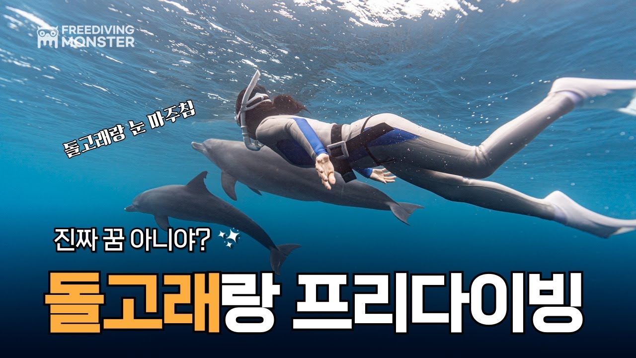 야생 돌고래와 프리다이빙이 가능하다고? / 미쿠라지마
