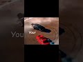 My Video Download рџ Єрџ Є My Video Download рџ Єрџ Є