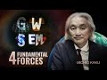 The four fundamental forces of nature  michio kaku