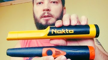 Турки побеждают! Nokta Accupoint vs Sphinx 03