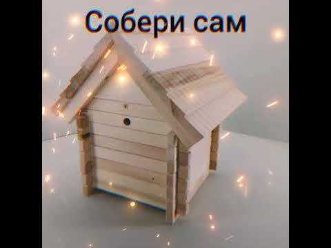 домик для шмелей, покадровая съемка. - YouTube