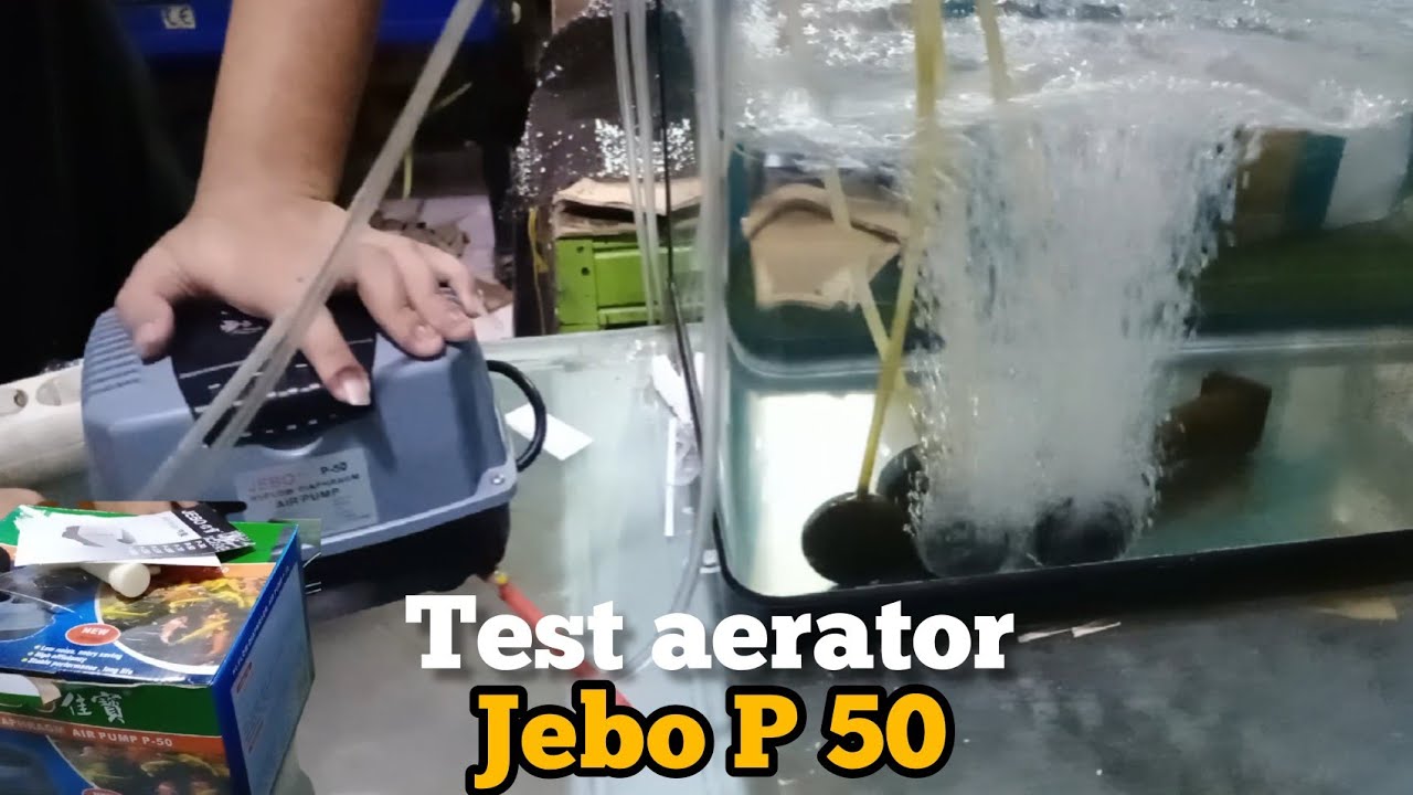 Test air pump Jebo P 50 / pompa udara/aerator