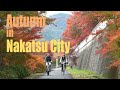 Autumn in nakatsu city