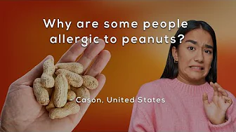 Why are some people allergic to peanuts?
