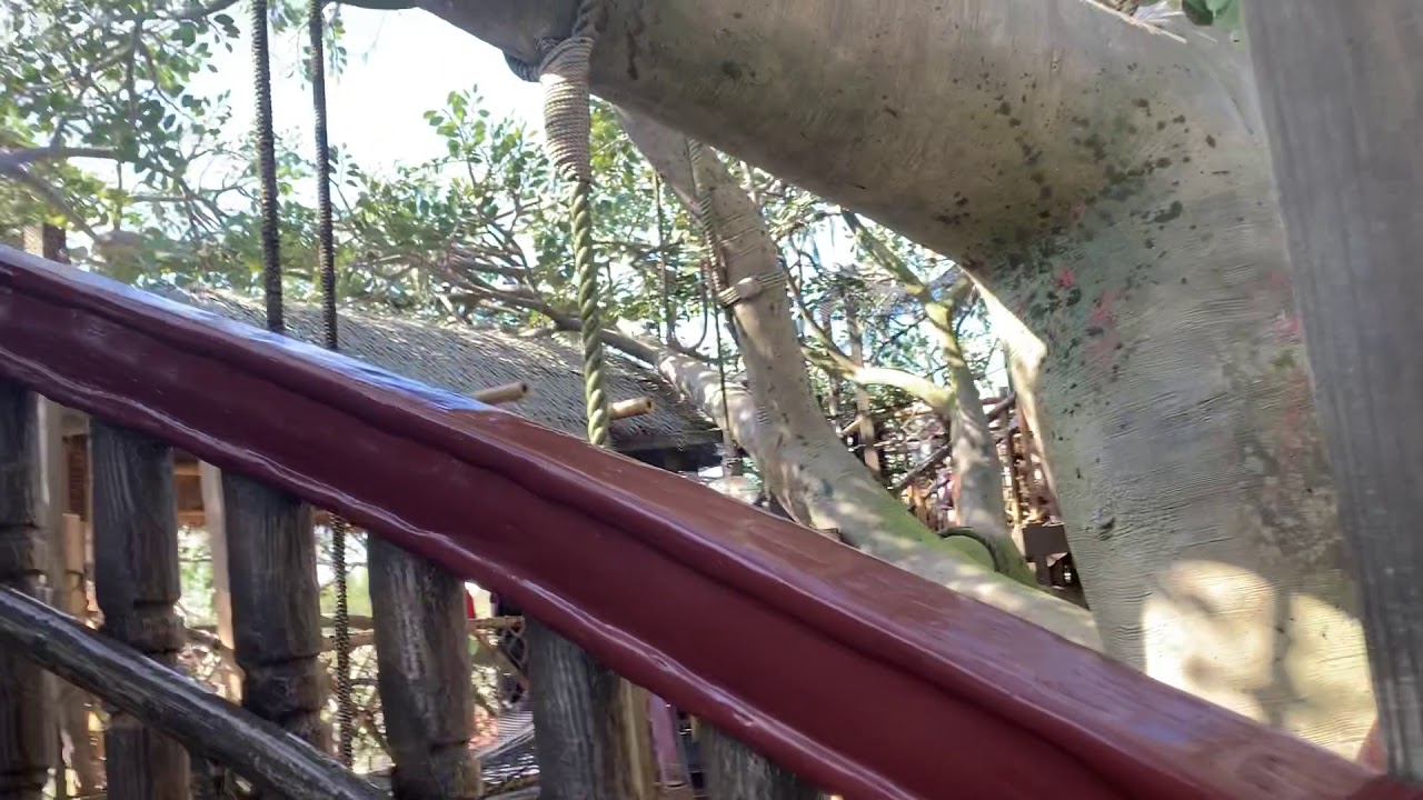Swiss Family Robinson Tree House at Disney World - YouTube