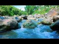 Relaxing Ambience for Sleep – Refreshing Forest River Flow for Mind Relaxation