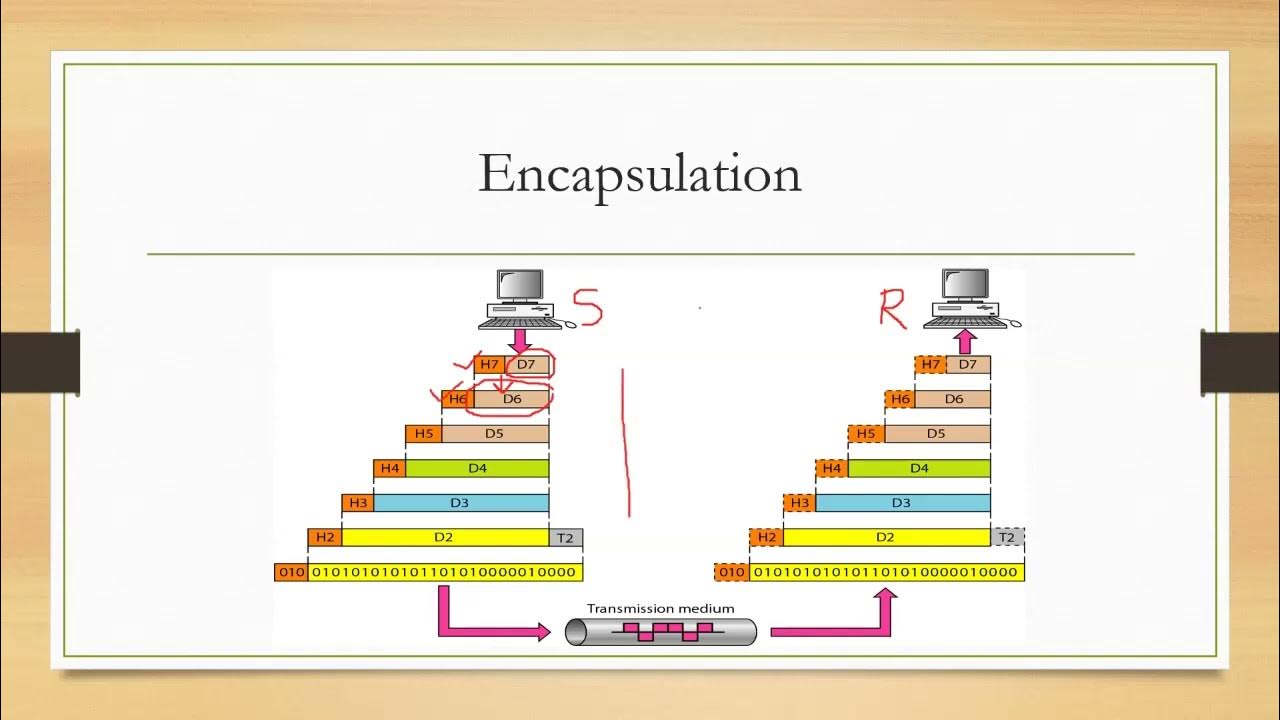 Some More Points Encapsulation Peer to Peer process YouTube
