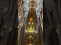 Sagrada Familia отвътре ✨ #барселона #sagradafamília #visitbarcelona