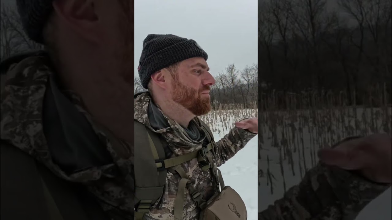 When Do Bucks REALLY Shed Their Antlers? Deer Shedding Secrets REVEALED! #shorts