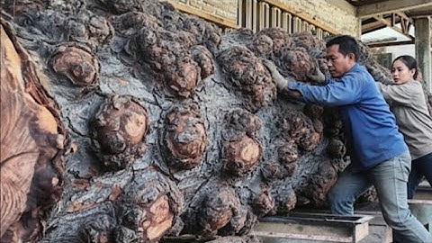 De monsterboom zagerij verschrikkelijk vol schoonheid